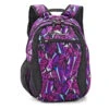 High Sierra Curve Backpack